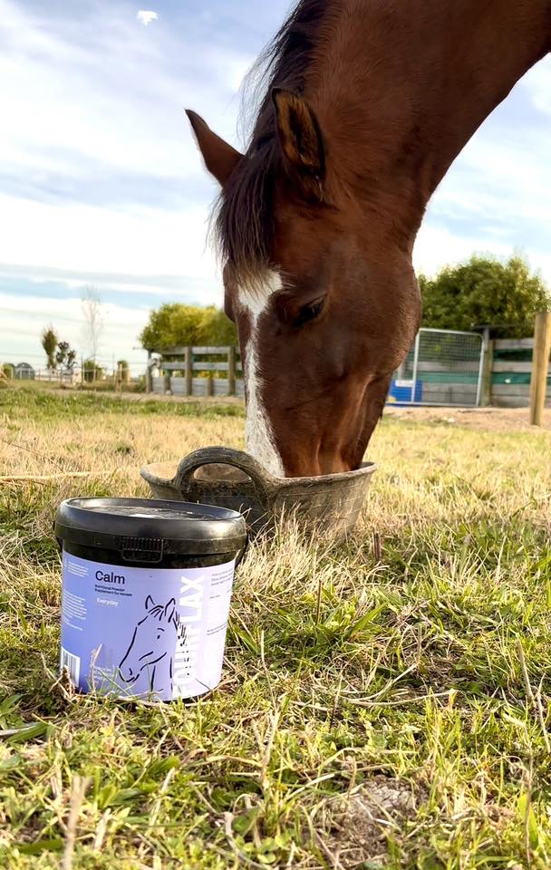 A Calmer, Happier Horse This Spring – Here’s How