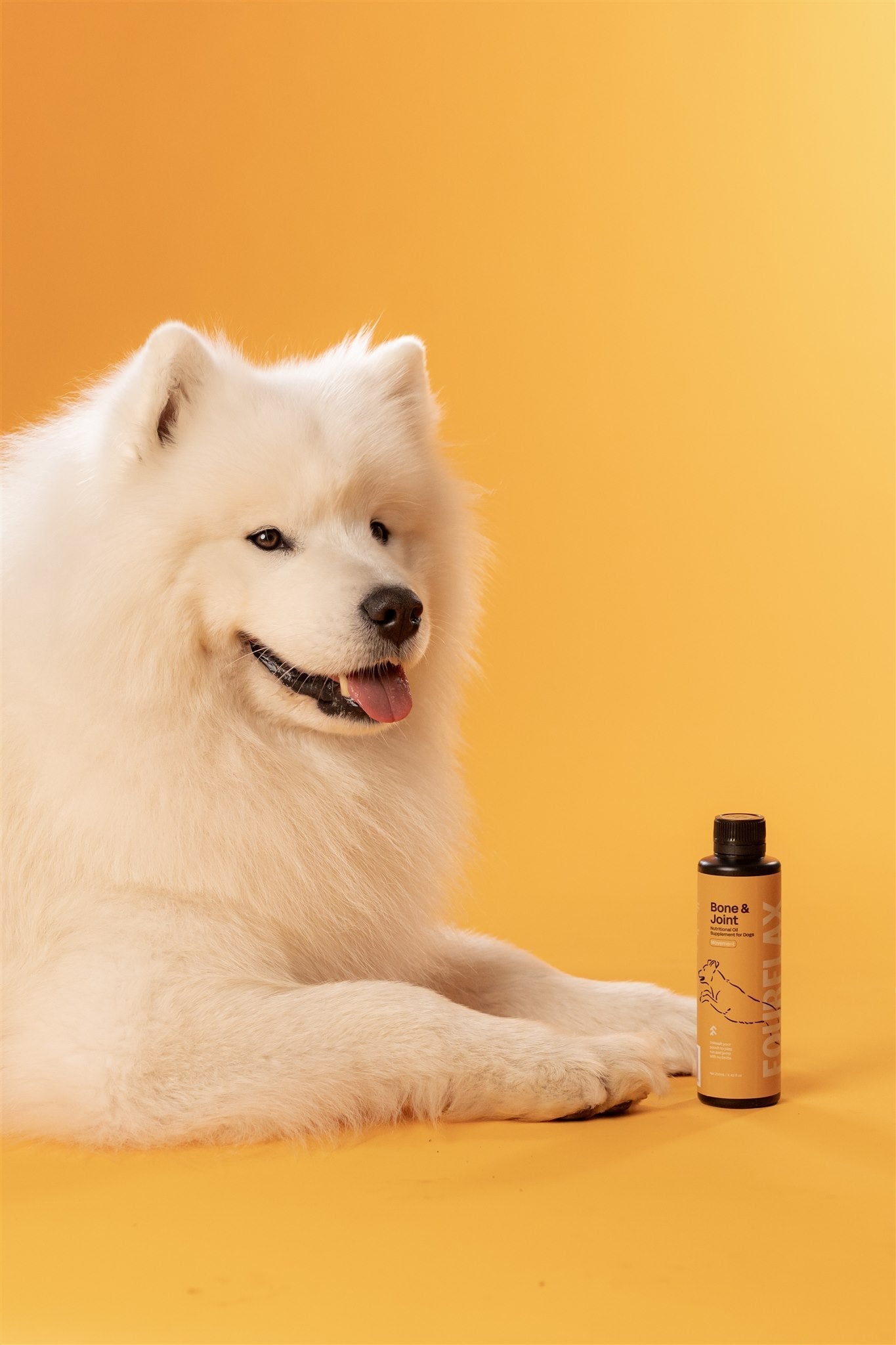Why Winter Can Be Tough on Your Dog’s Joints