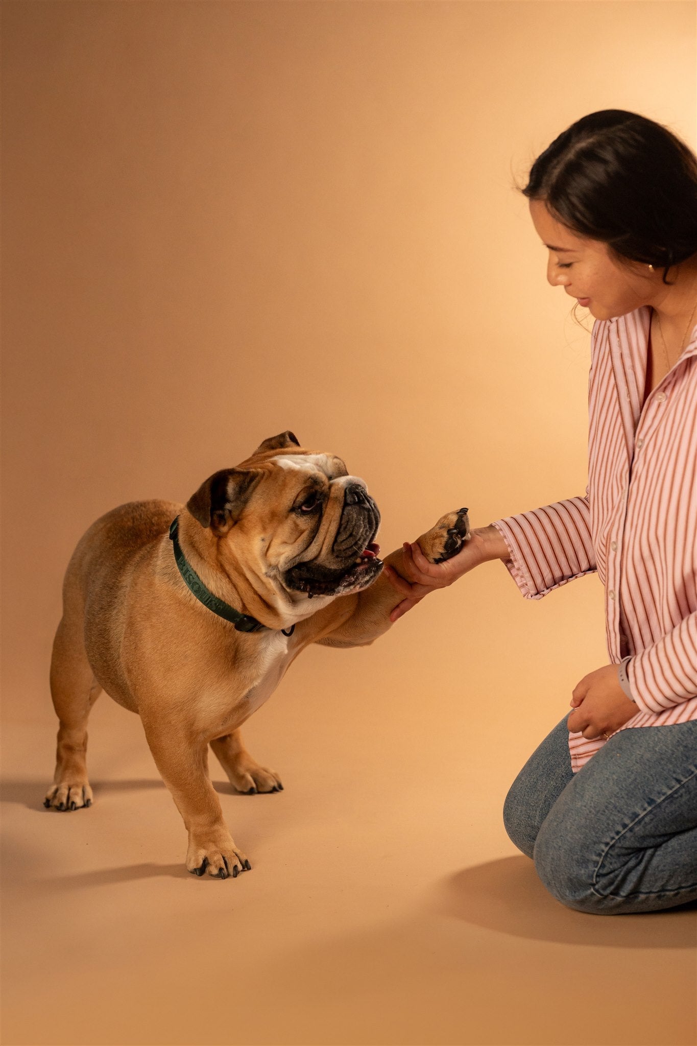 Five Small Things That Can Make Your Dog Happier Every Day
