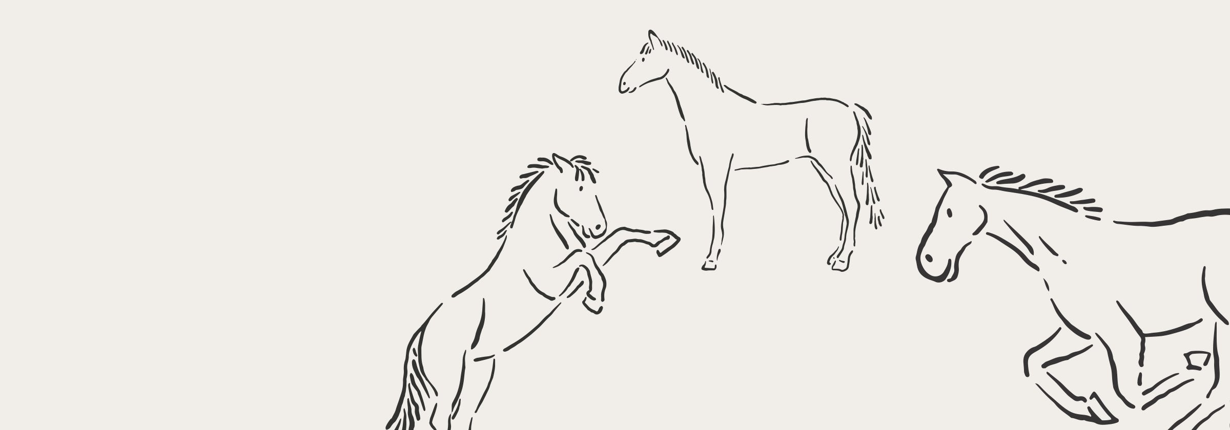 Horses