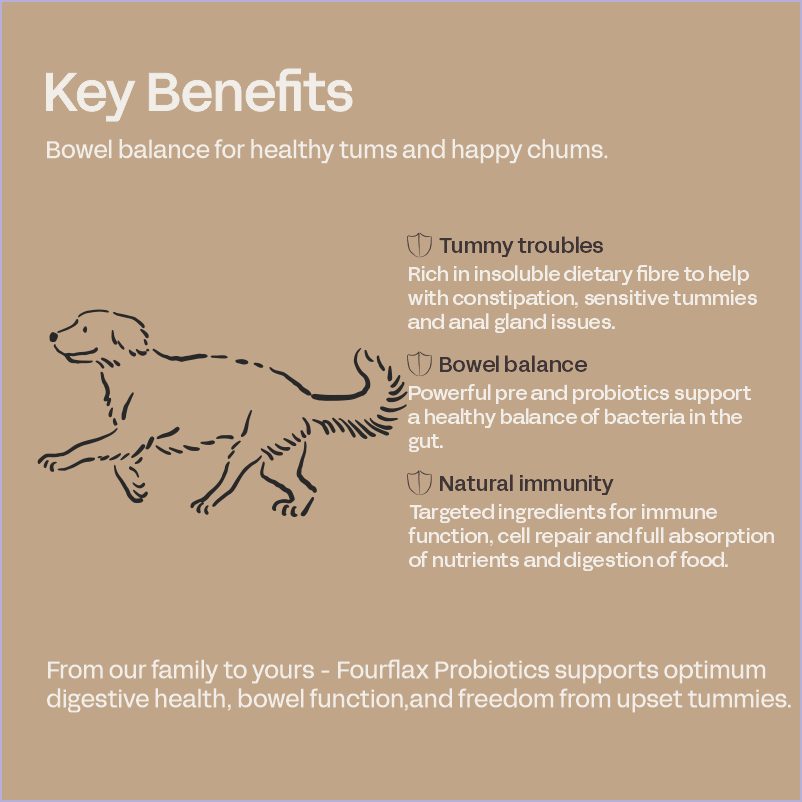 Canine Probiotics - Immunity & Digestive Probiotic Support for Dogs