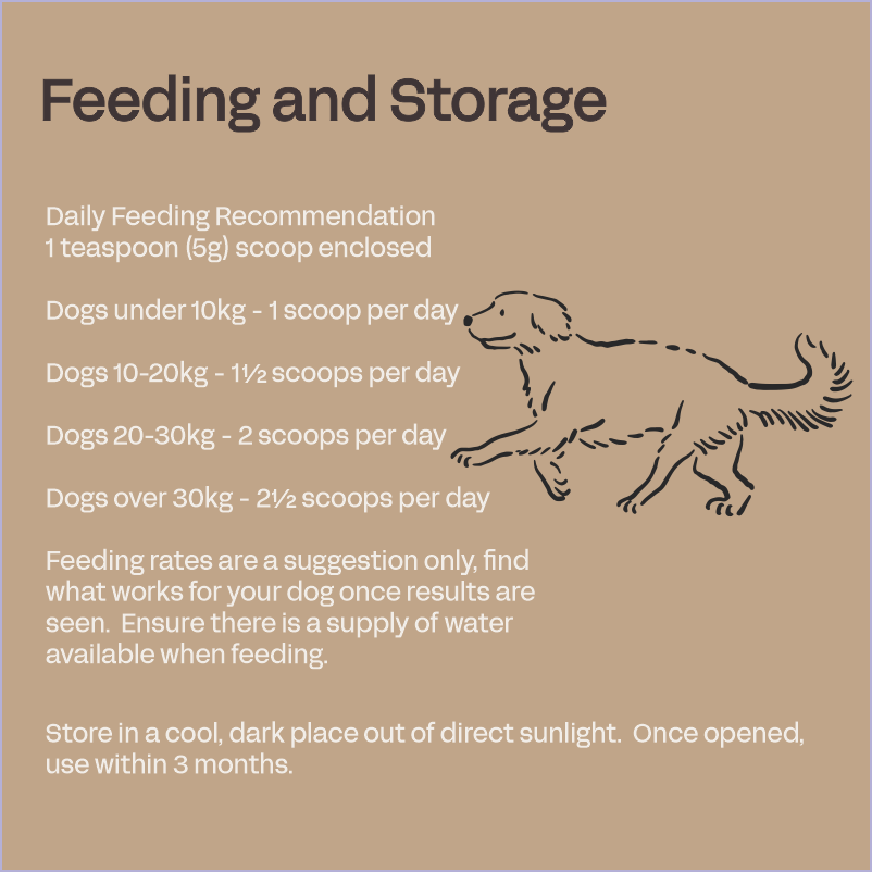 Canine Probiotics - Immunity & Digestive Probiotic Support for Dogs