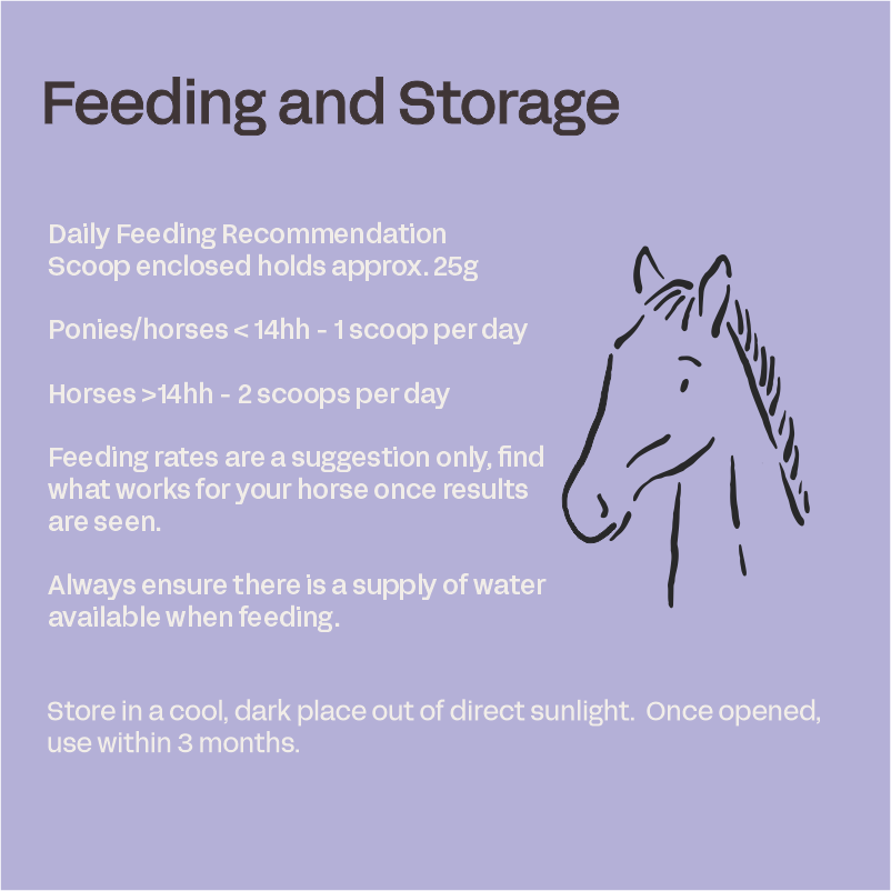 Equine Calm - Behaviour & Calming Support for Horses