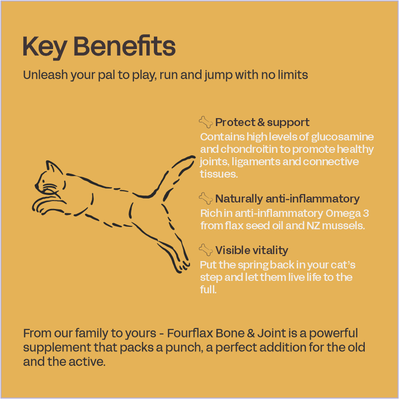 Feline Bone & Joint - Cat Supplement for Joints & Mobility